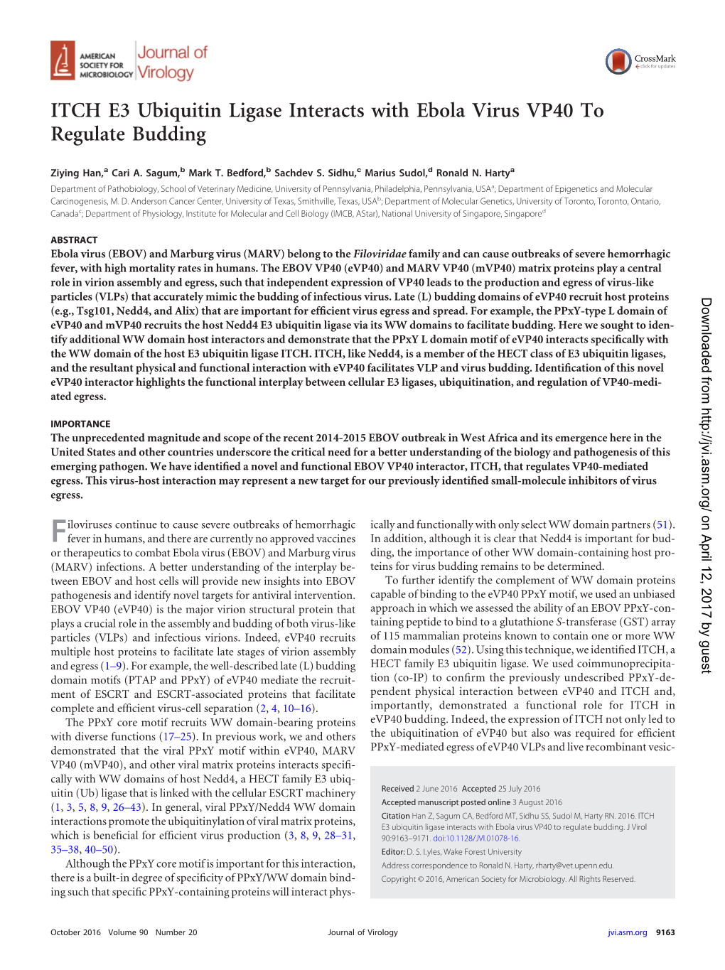 ITCH E3 Ubiquitin Ligase Interacts with Ebola Virus VP40 to Regulate Budding