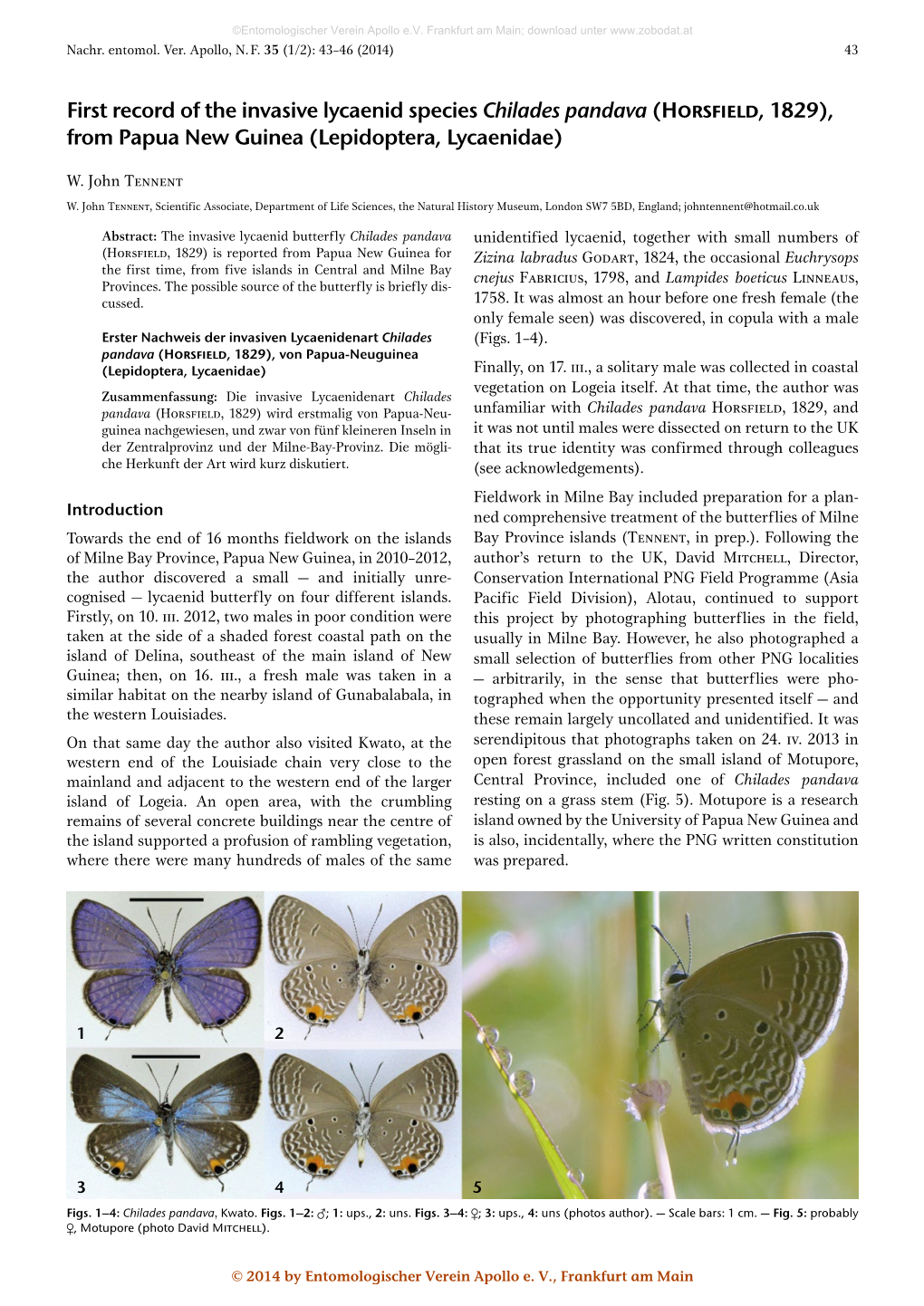 First Record of the Invasive Lycaenid Species Chilades Pandava (Horsfield, 1829), from Papua New Guinea (Lepidoptera, Lycaenidae)