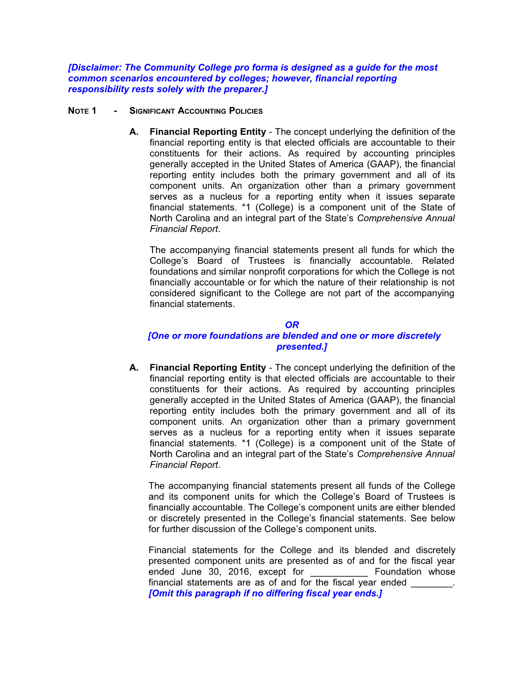 Financial Statement Audit Report - Template - Community College s1