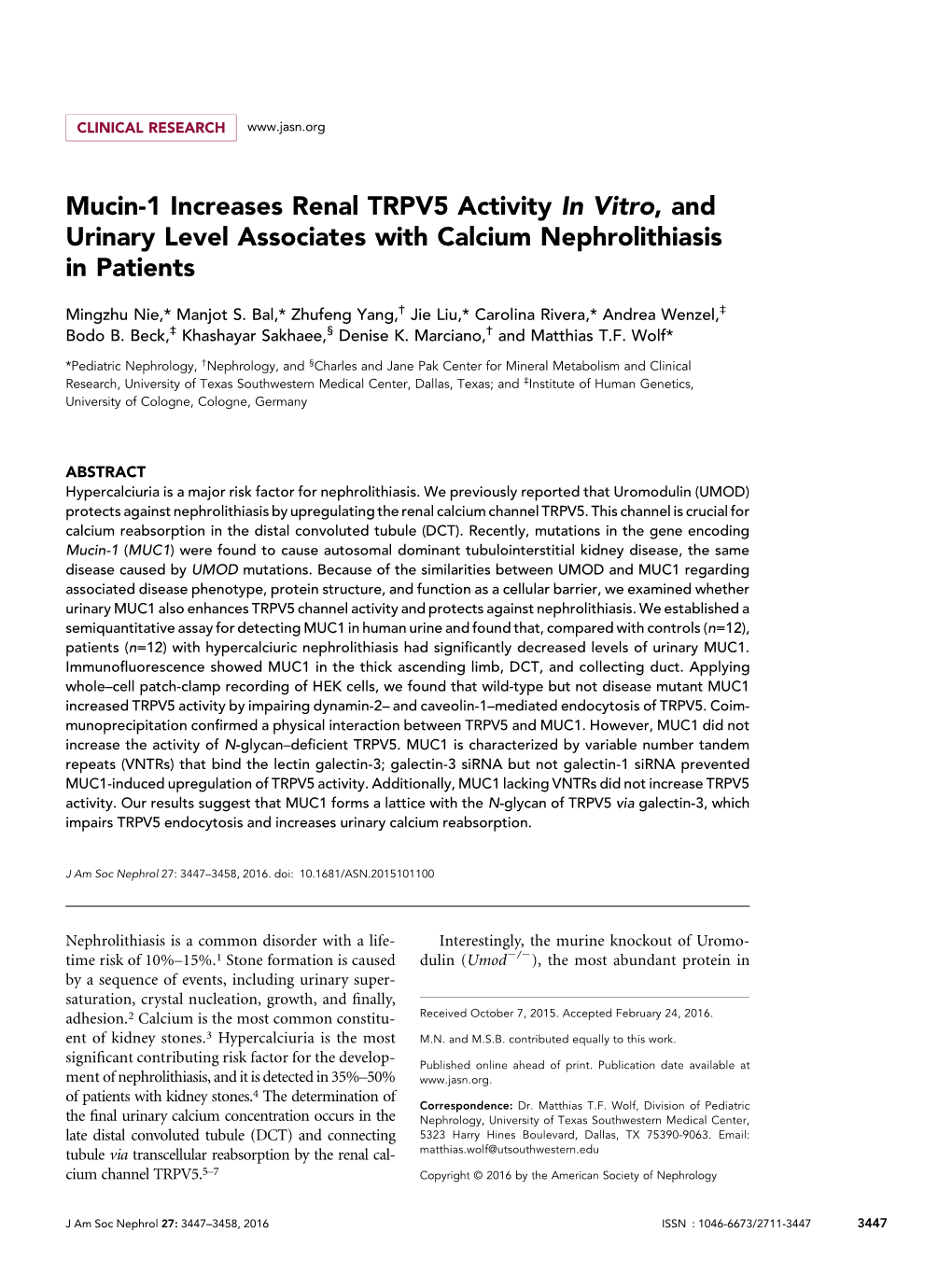 Mucin-1 Increases Renal TRPV5 Activity in Vitro, and Urinary Level Associates with Calcium Nephrolithiasis in Patients