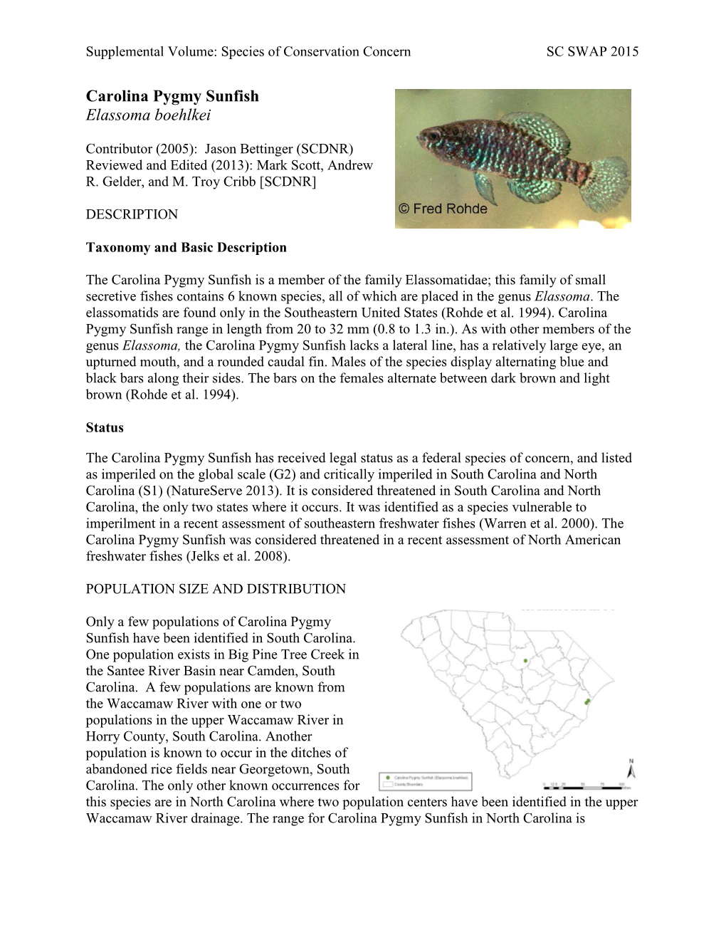 Carolina Pygmy Sunfish Elassoma Boehlkei