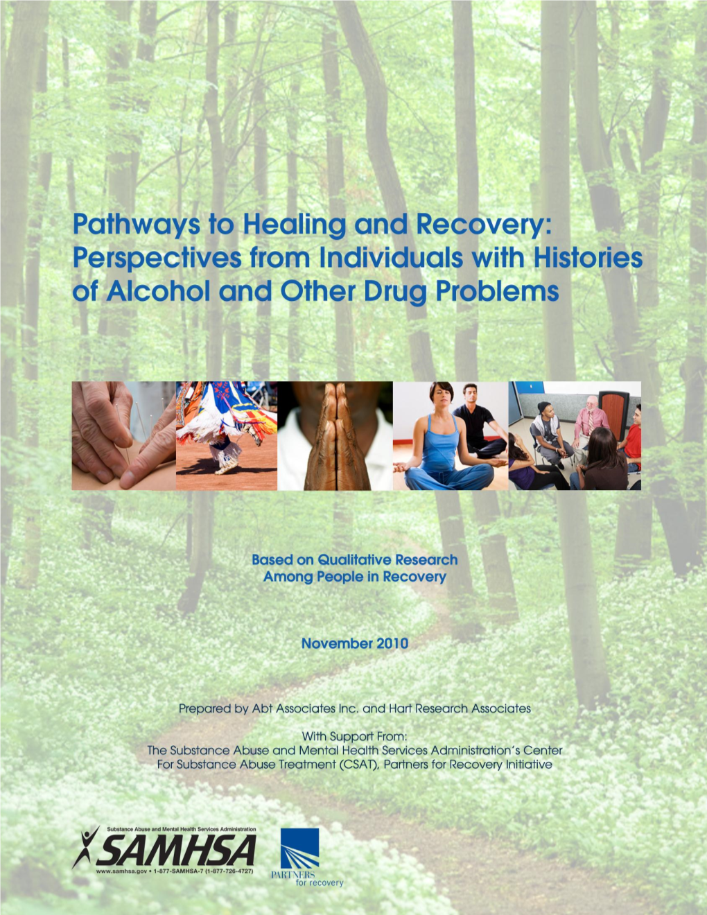 Pathways to Healing and Recovery: Perspectives from Individuals With