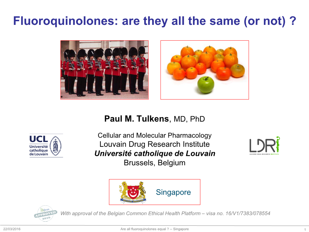 Fluoroquinolones: Are They All the Same (Or Not) ?