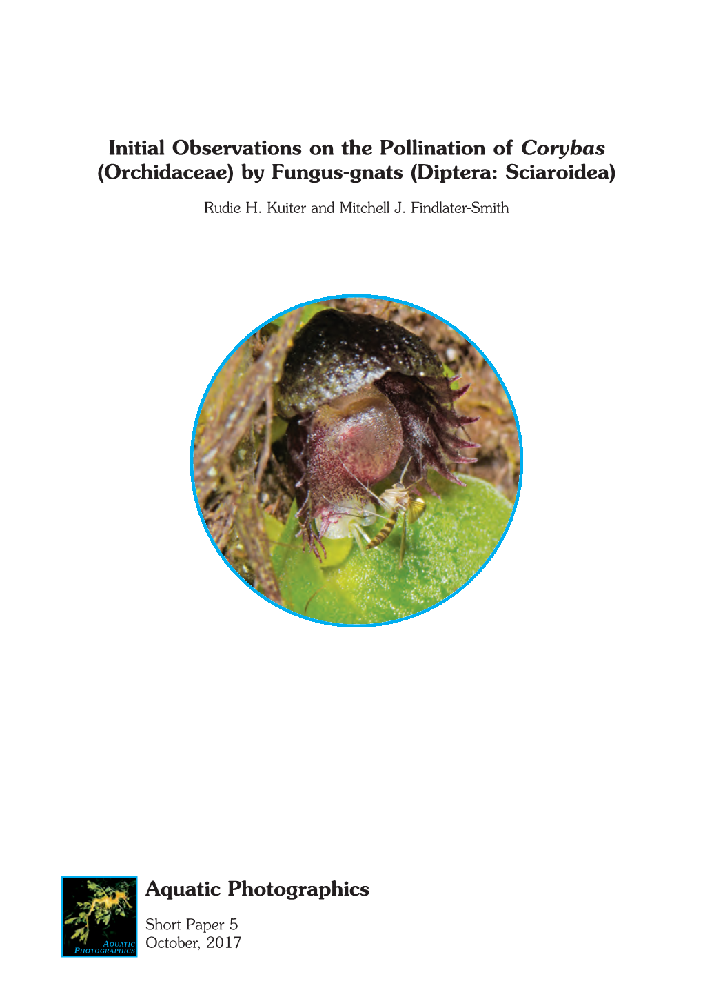 Initial Observations on the Pollination of Corybas (Orchidaceae) by Fungus-Gnats (Diptera: Sciaroidea)