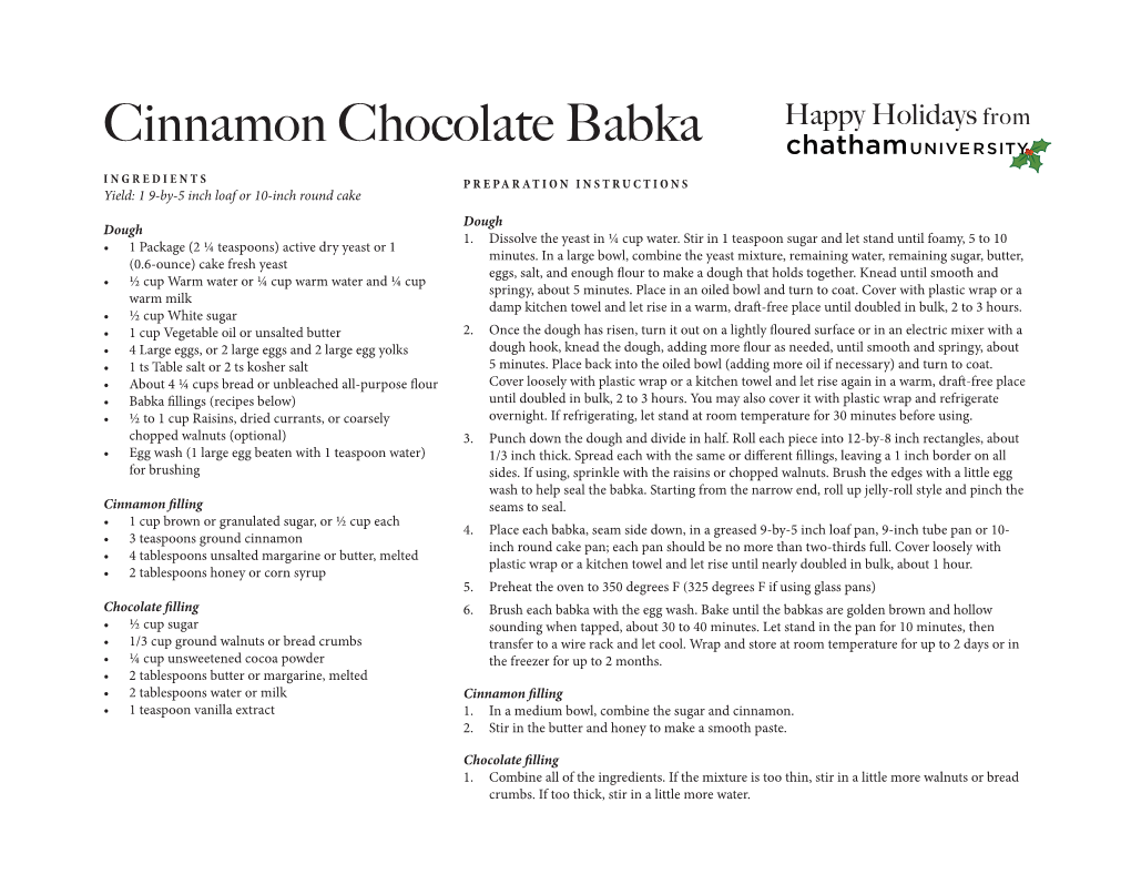 Cinnamon Chocolate Babka Happy Holidays From