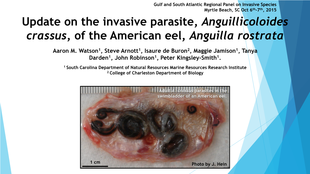 Update on the Invasive Parasite, Anguillicoloides Crassus, of the American Eel, Anguilla Rostrata