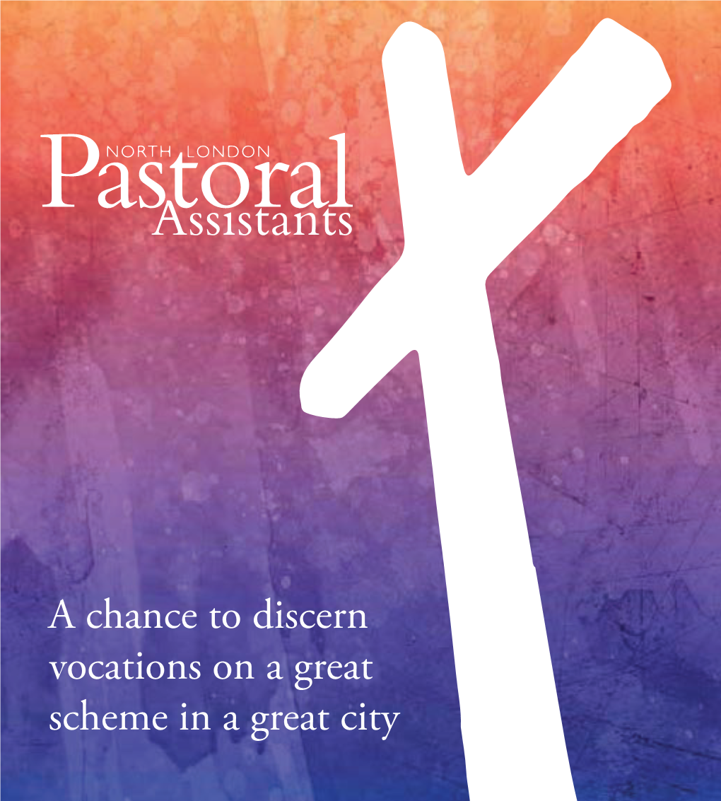 A Chance to Discern Vocations on a Great Scheme in a Great City