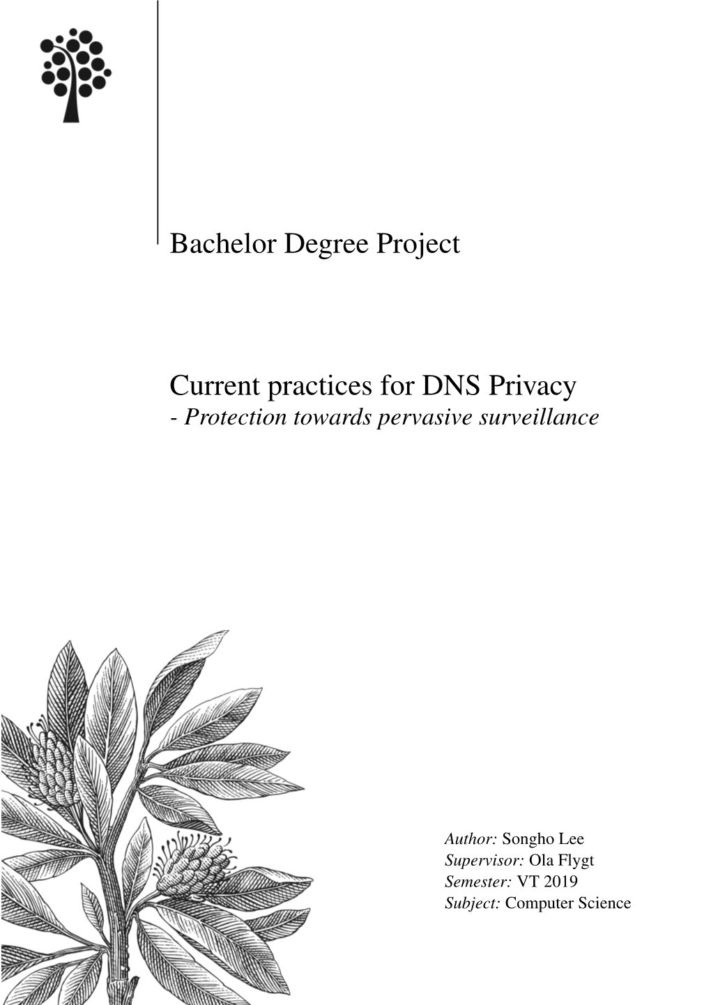 Bachelor Degree Project Current Practices for DNS Privacy