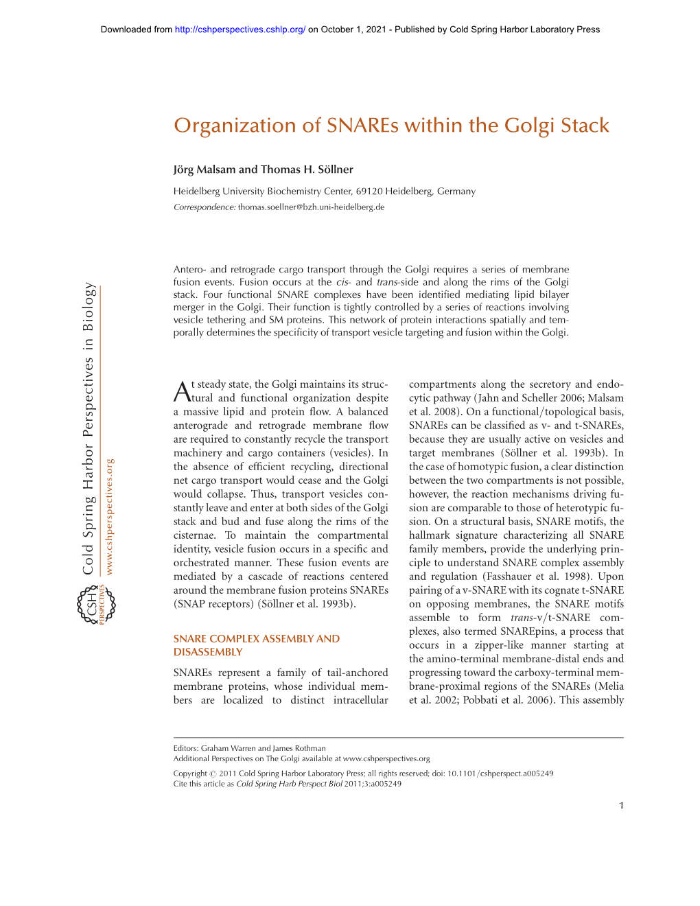 Organization of Snares Within the Golgi Stack