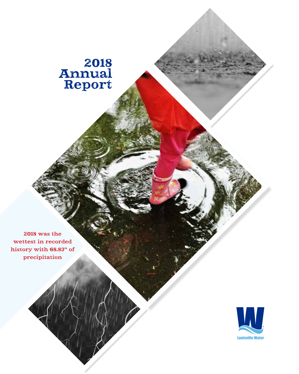 Annual Report