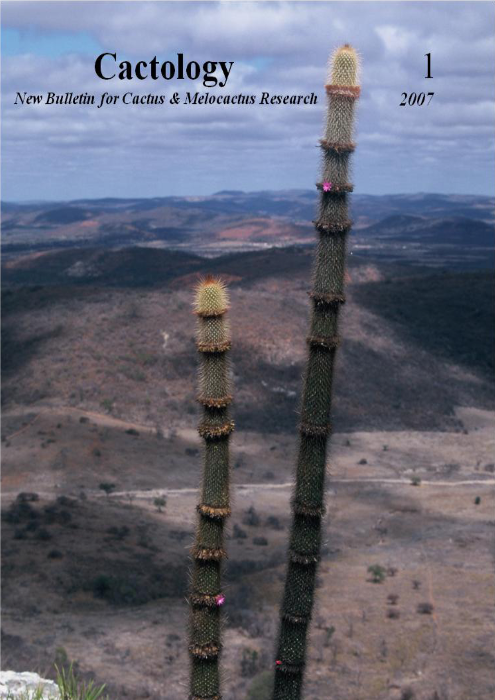 Melocactus Intortus (Miller) Urban (Cactoideae) and Its Subspecies from the Caribbean