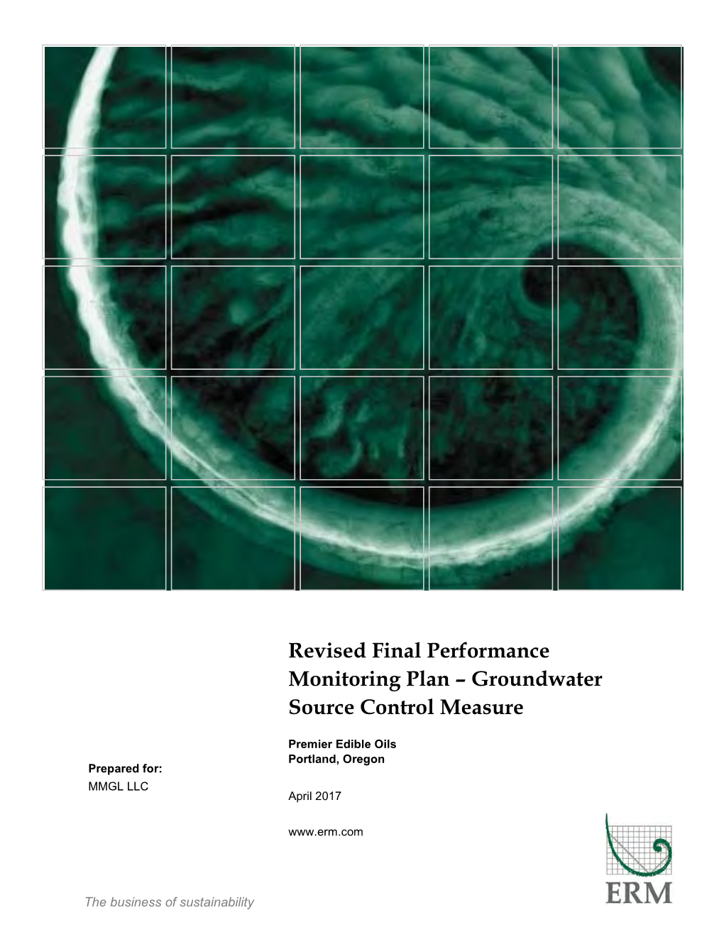 Revised Final Performance Monitoring Plan – Groundwater Source Control Measure