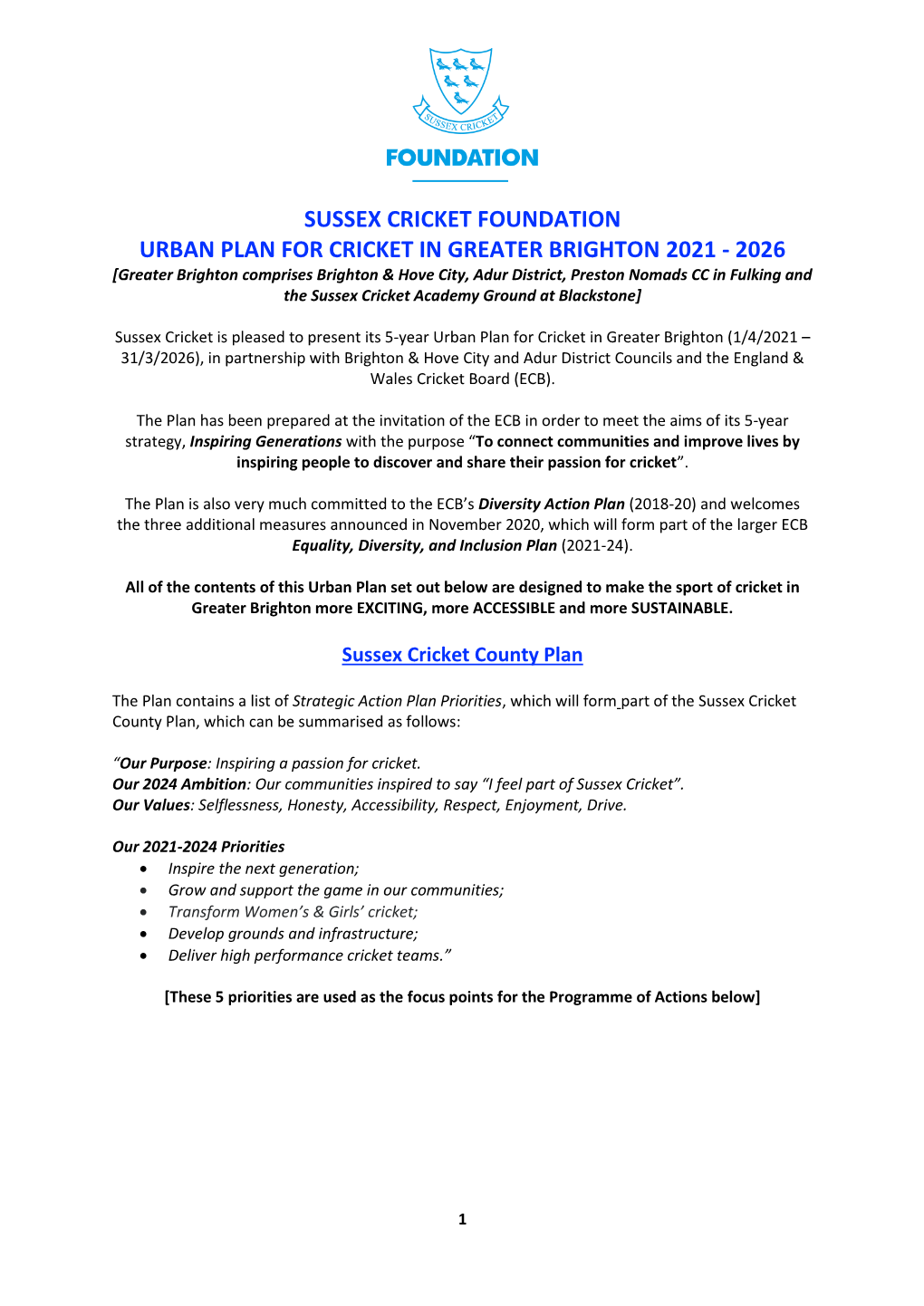 Greater Brighton & Hove Urban Cricket Plan