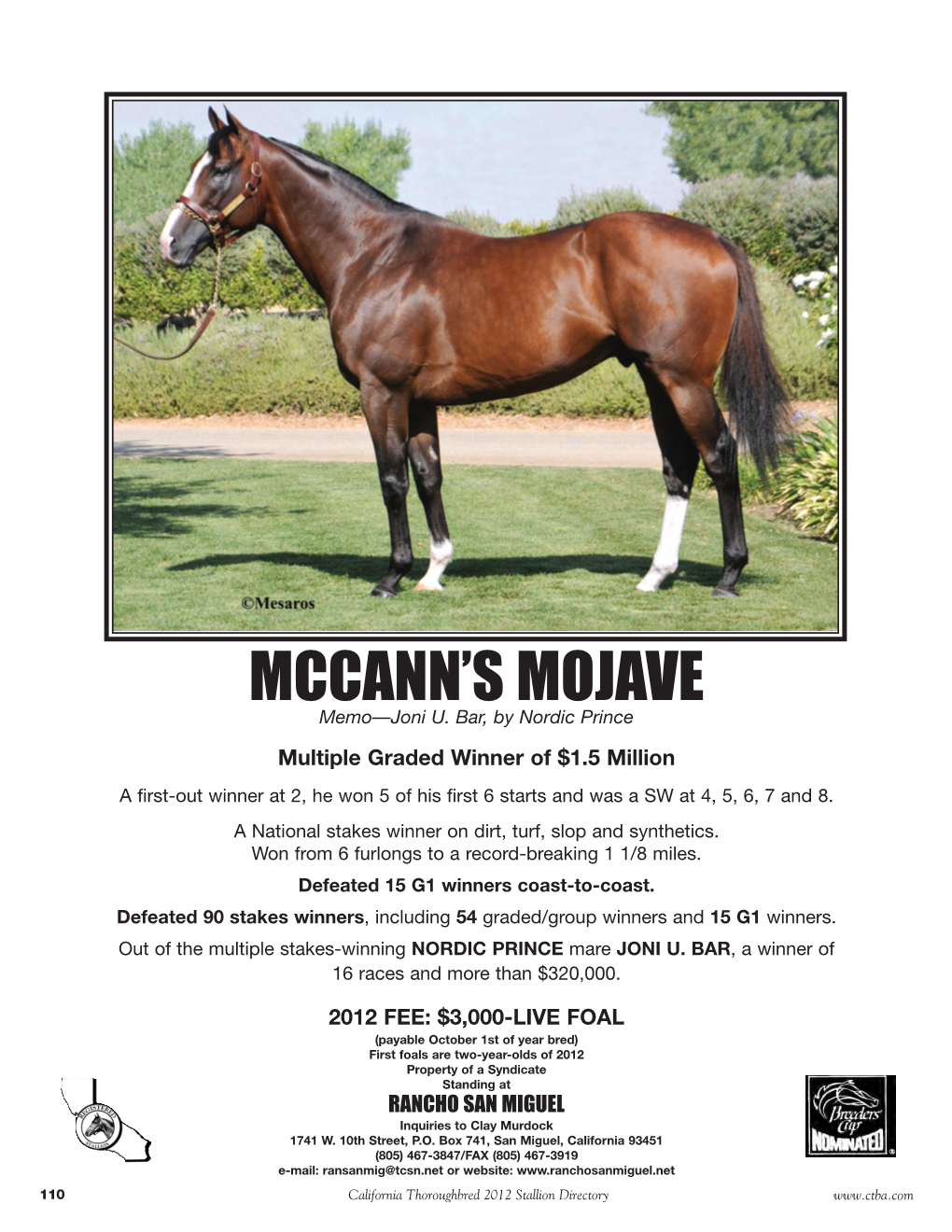 Mccann's Mojave