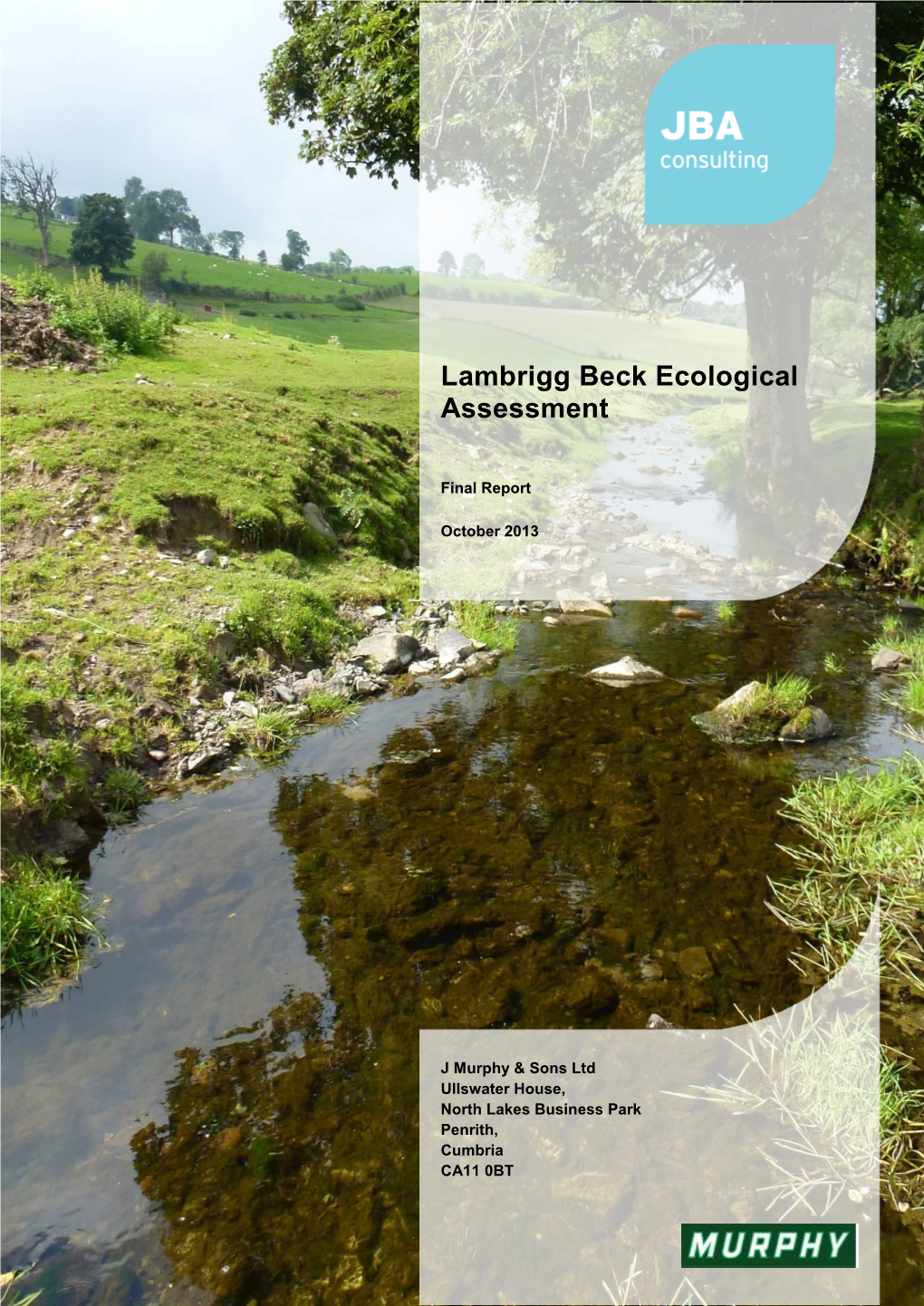 Lambrigg Beck Ecological Assessment