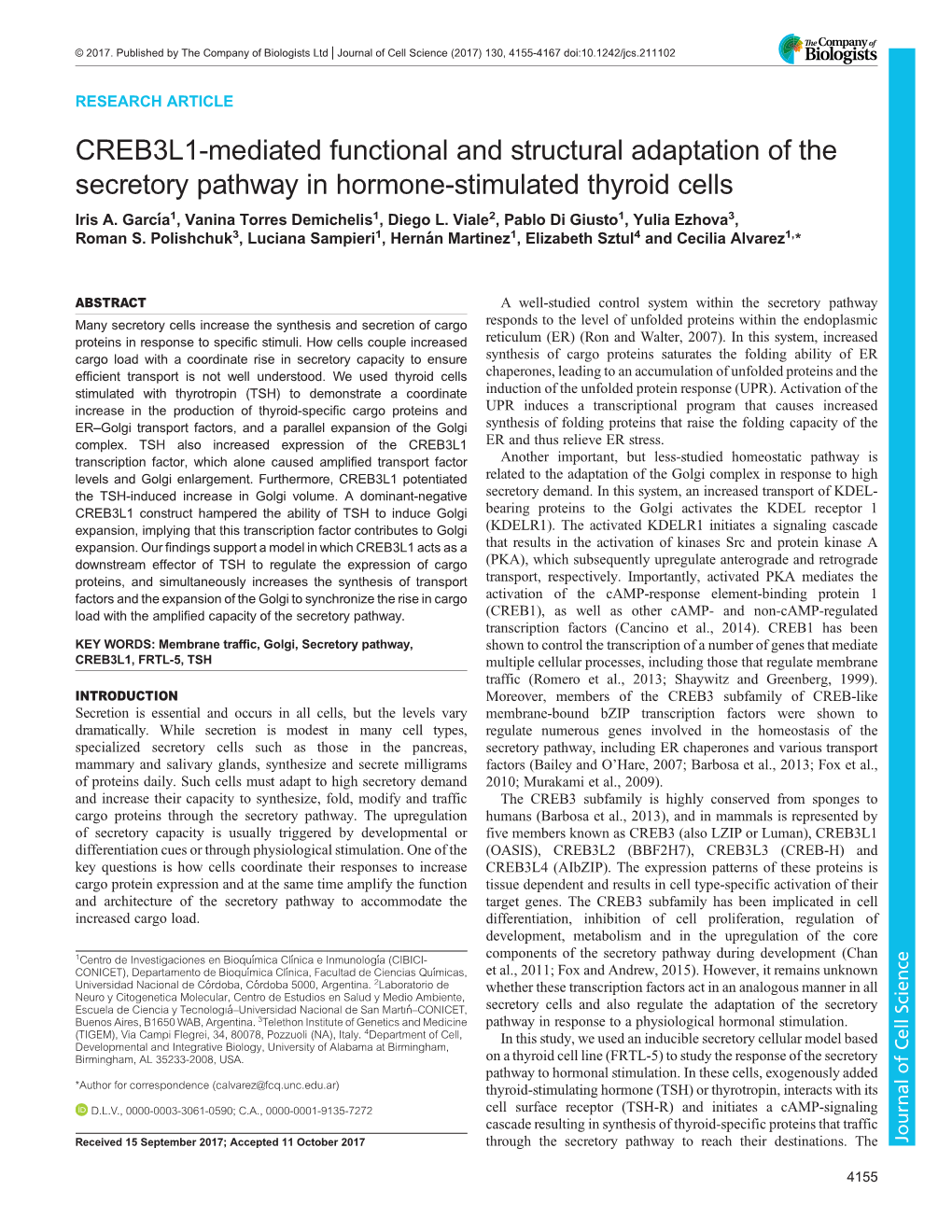 CREB3L1-Mediated Functional and Structural Adaptation of the Secretory Pathway in Hormone-Stimulated Thyroid Cells Iris A