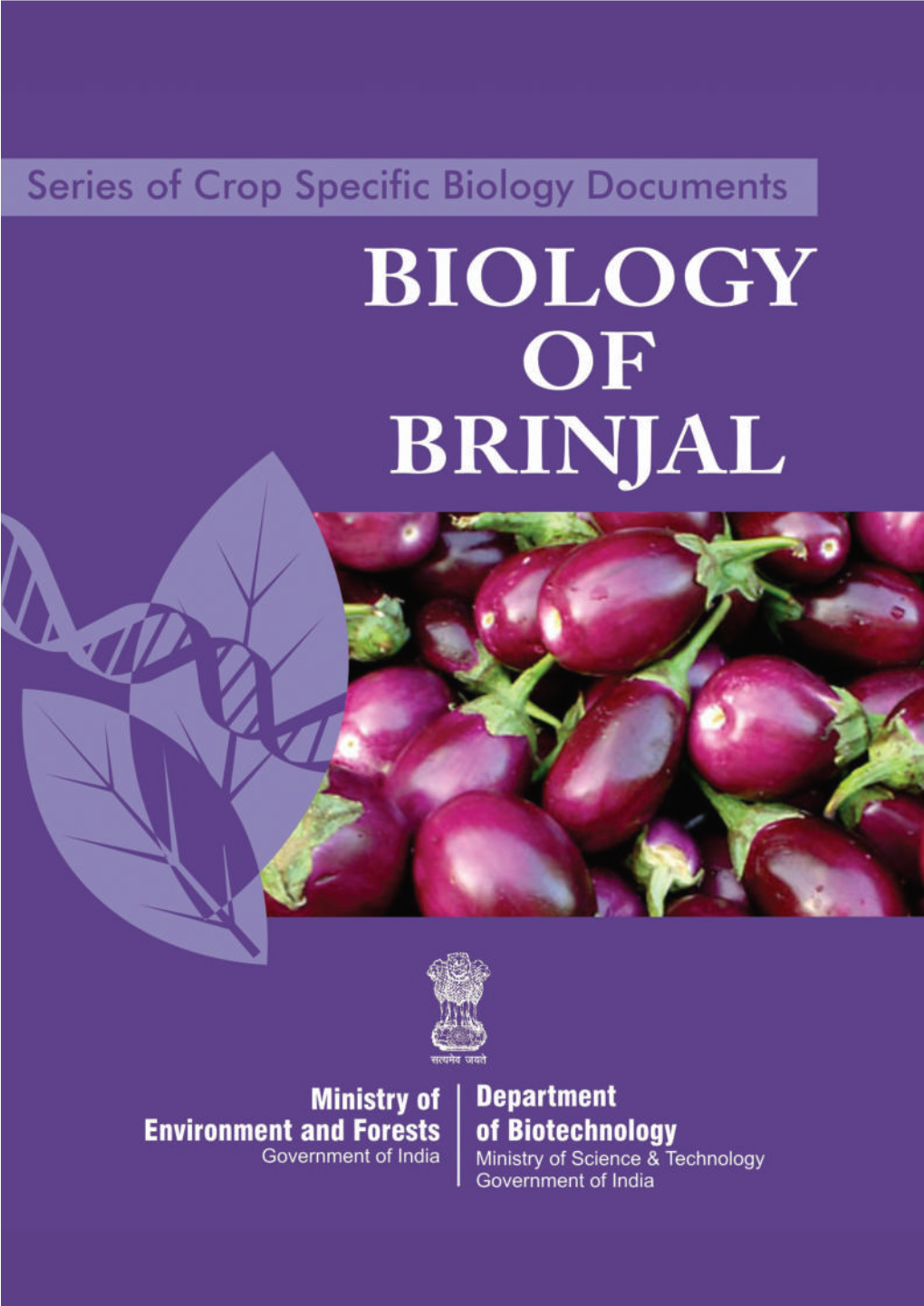 Biology of Brinjal