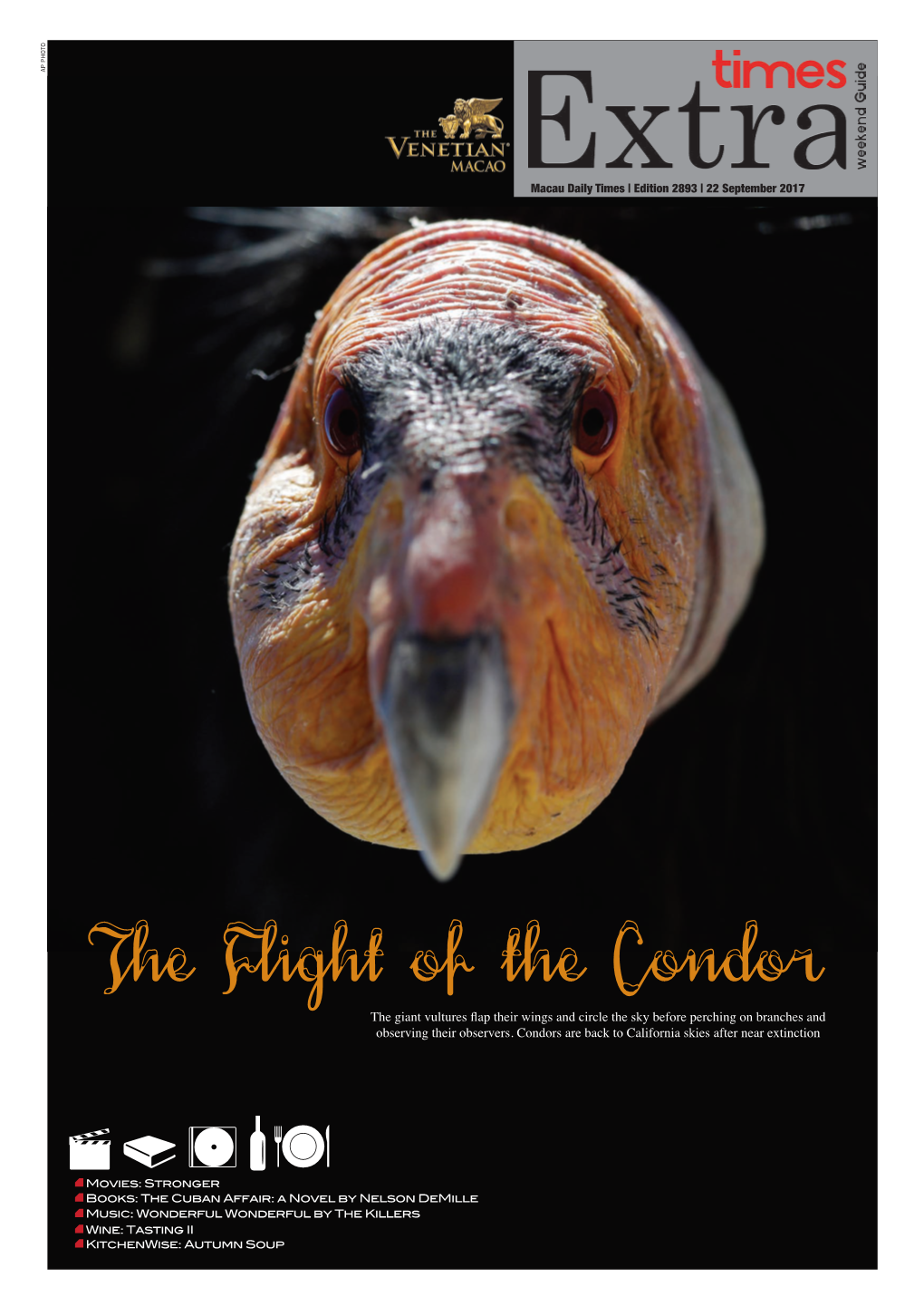 Extra 2883 – the Flight of the Condor