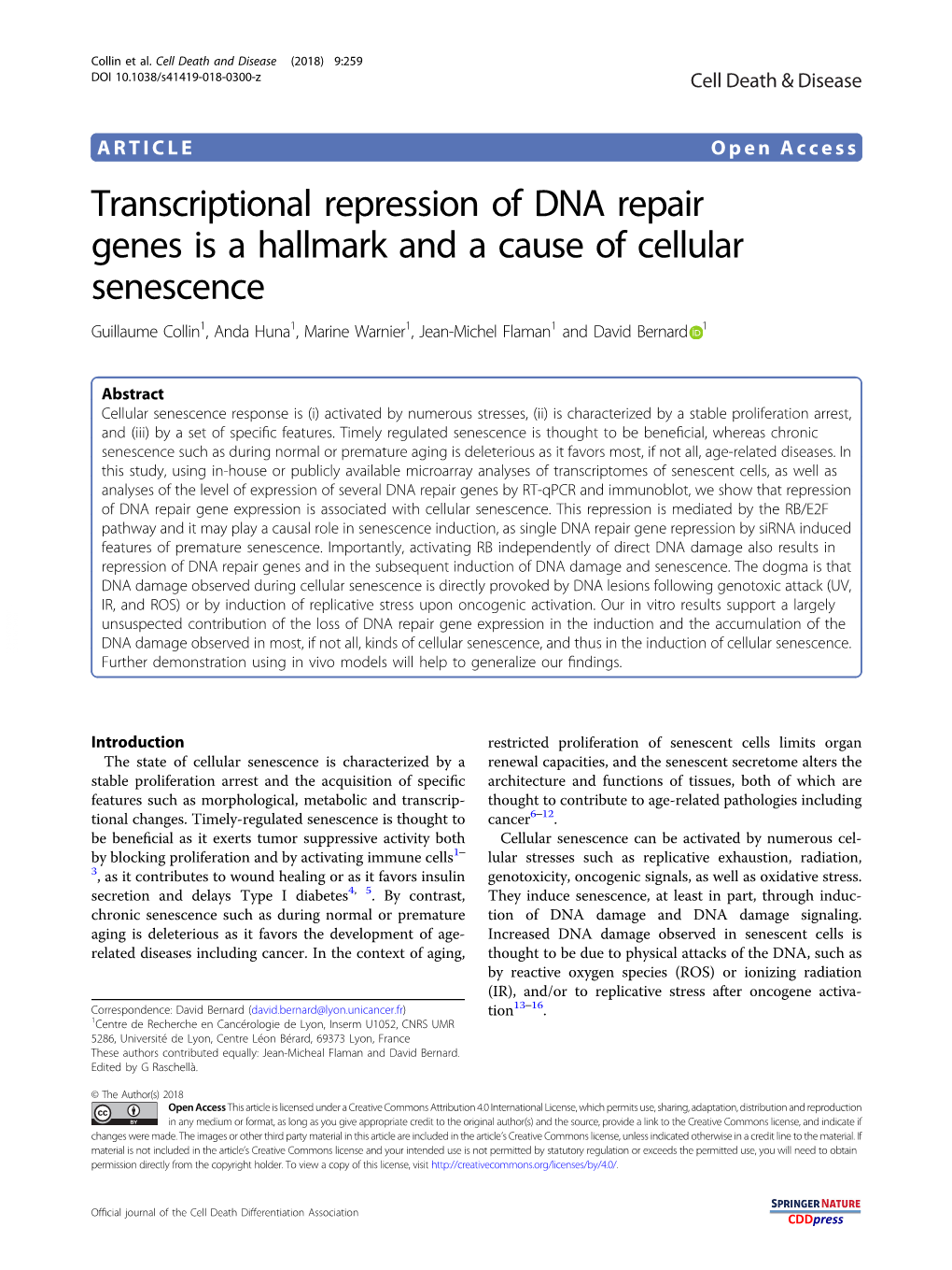 Transcriptional Repression of DNA Repair Genes Is a Hallmark and a Cause of Cellular Senescence