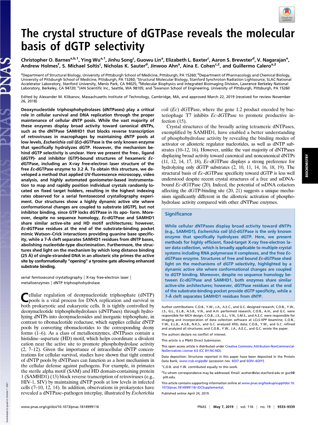 The Crystal Structure of Dgtpase Reveals the Molecular Basis of Dgtp Selectivity