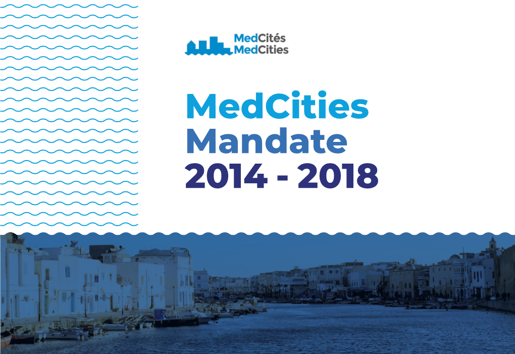 Medcities Mandate 2014