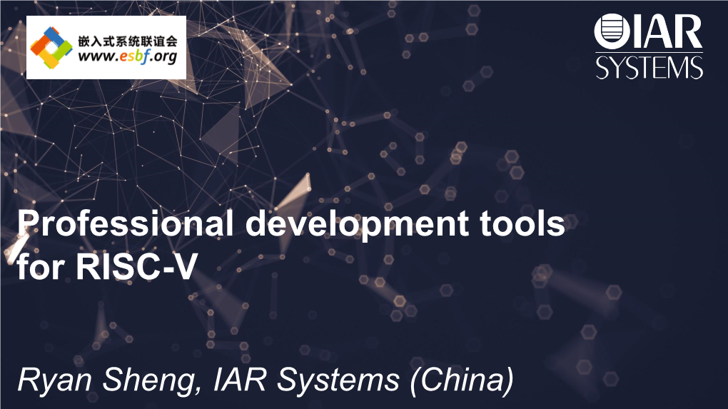 Professional Development Tools for RISC-V