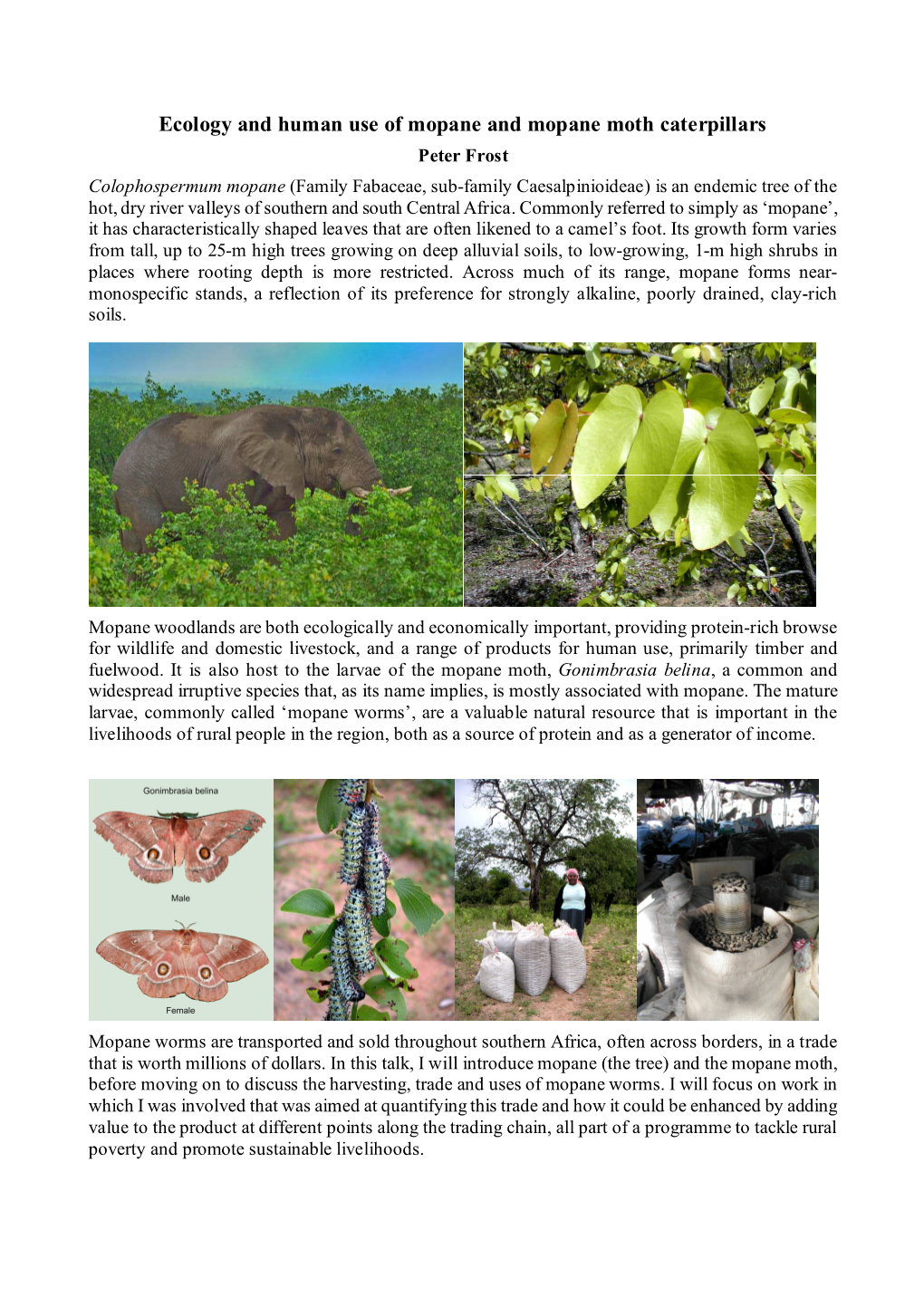 Ecology and Human Use of Mopane and Mopane Moth Caterpillars