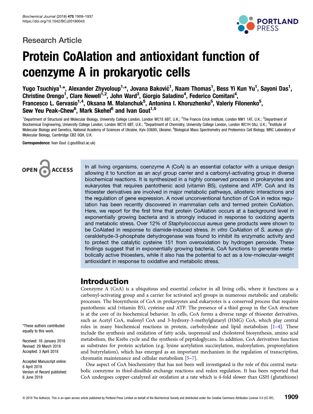 Protein Coalation and Antioxidant Function of Coenzyme a in Prokaryotic Cells