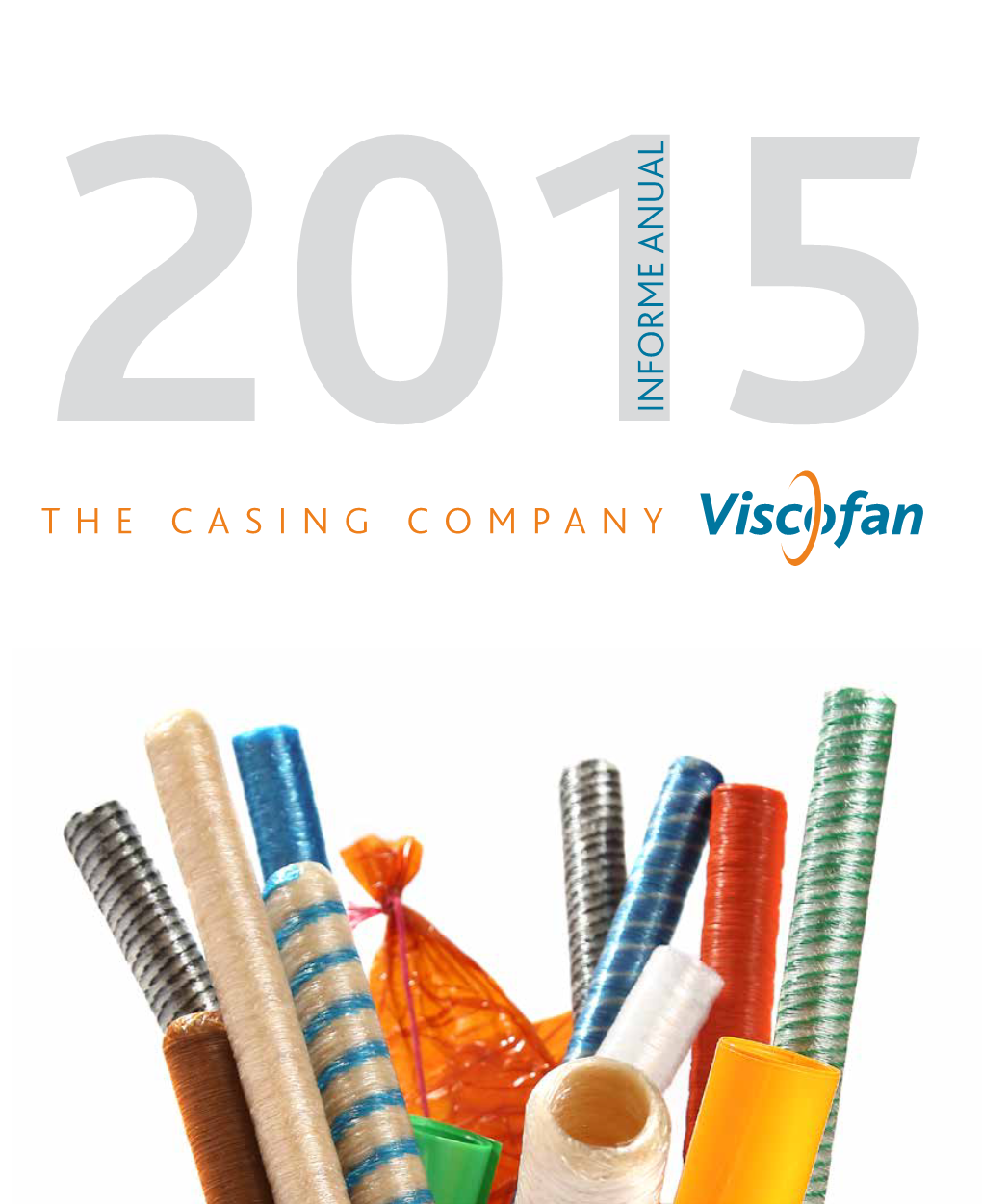 2015INFORME ANUAL the CASING COMPANY Indice