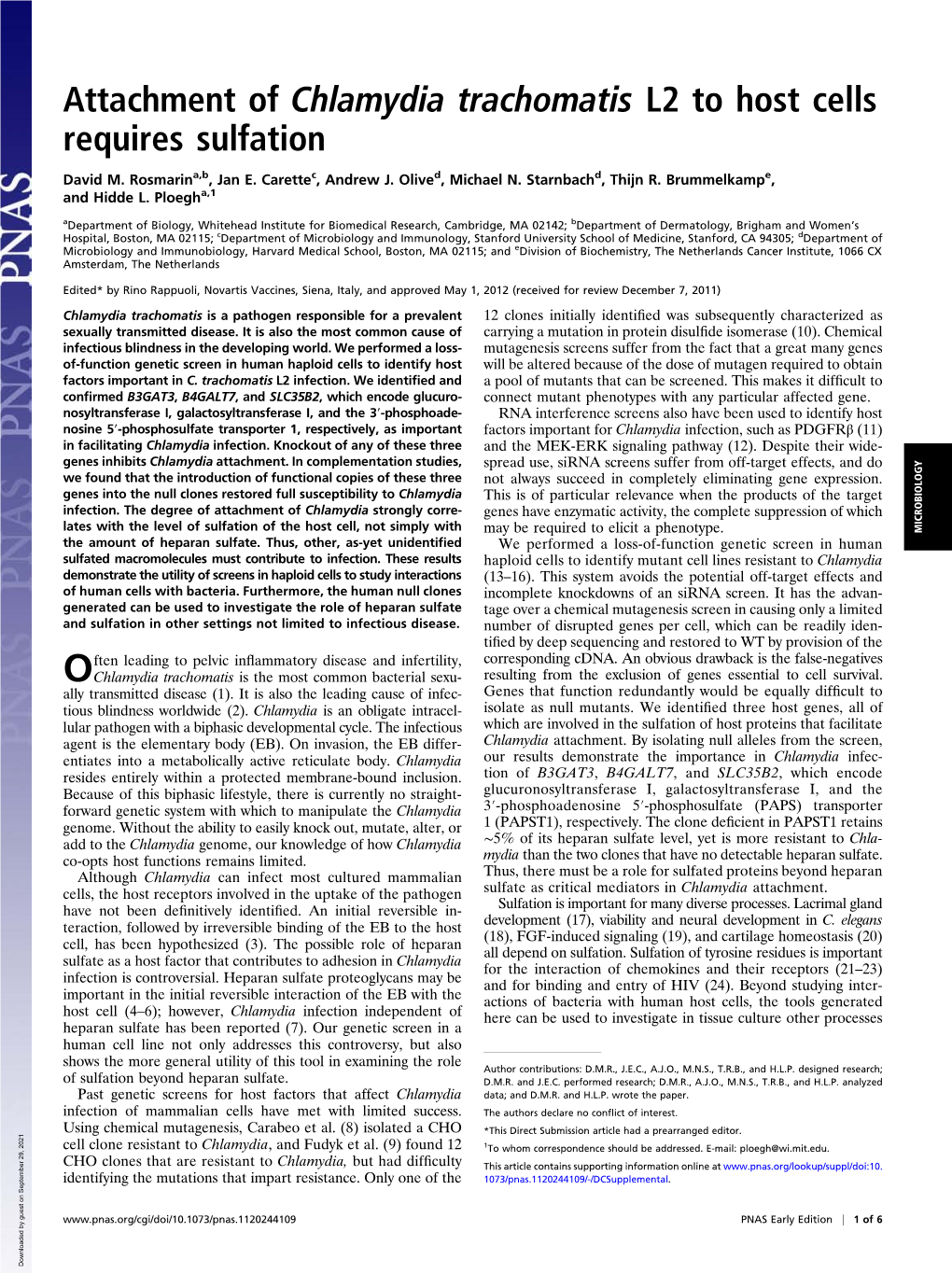 Attachment of Chlamydia Trachomatis L2 to Host Cells Requires Sulfation