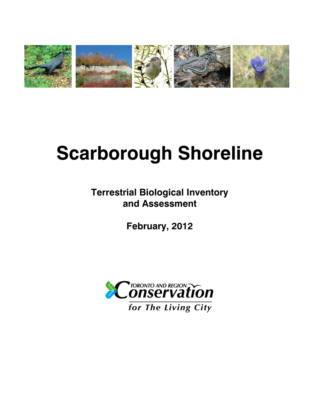 Scarborough Shoreline