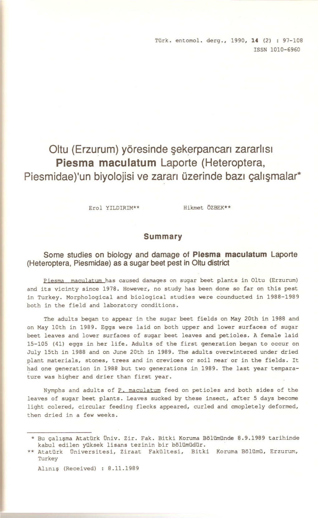 (Erzurum) Yöresinde Sekerpancari Zararlisi Piesma Maculatum Laporte