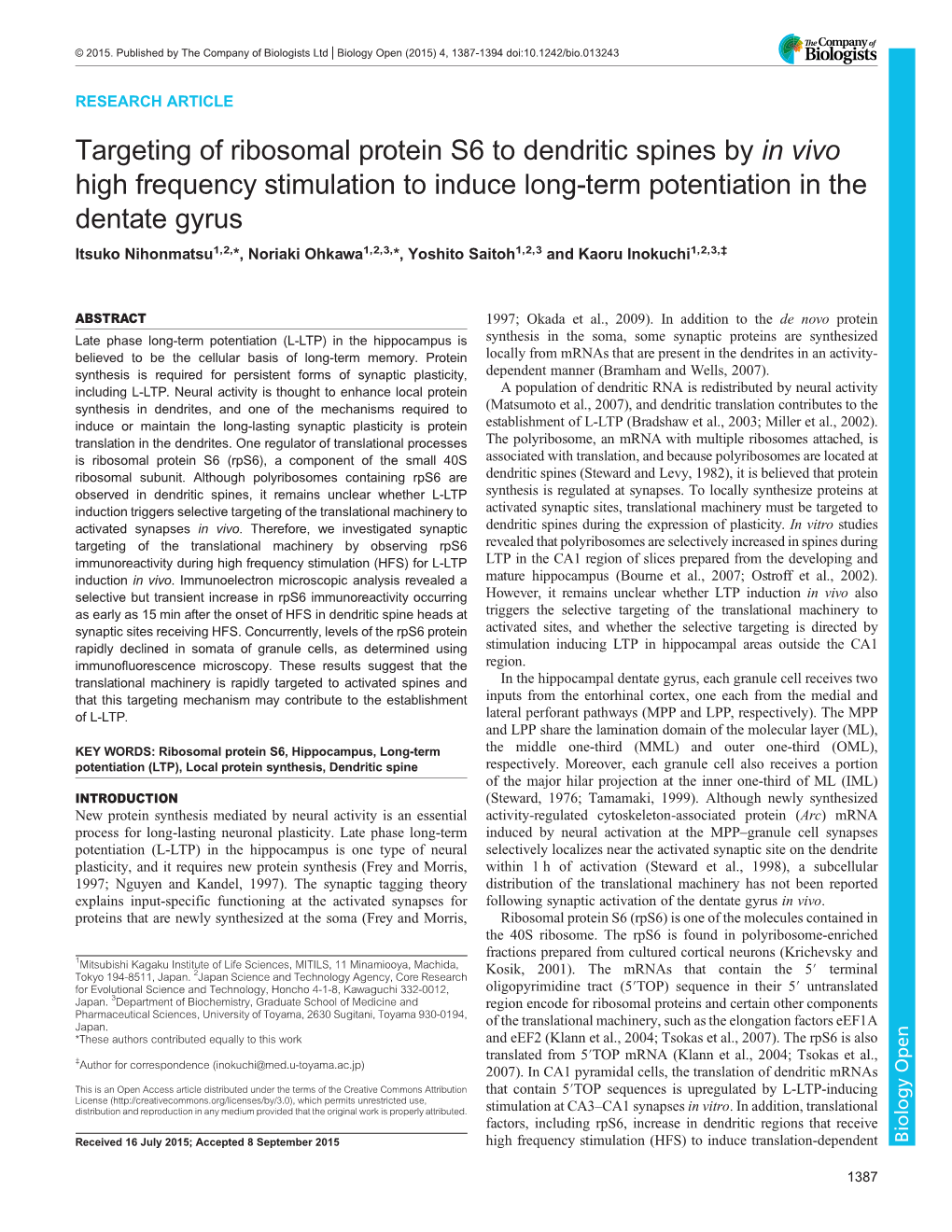 Targeting of Ribosomal Protein S6 to Dendritic Spines by in Vivo High