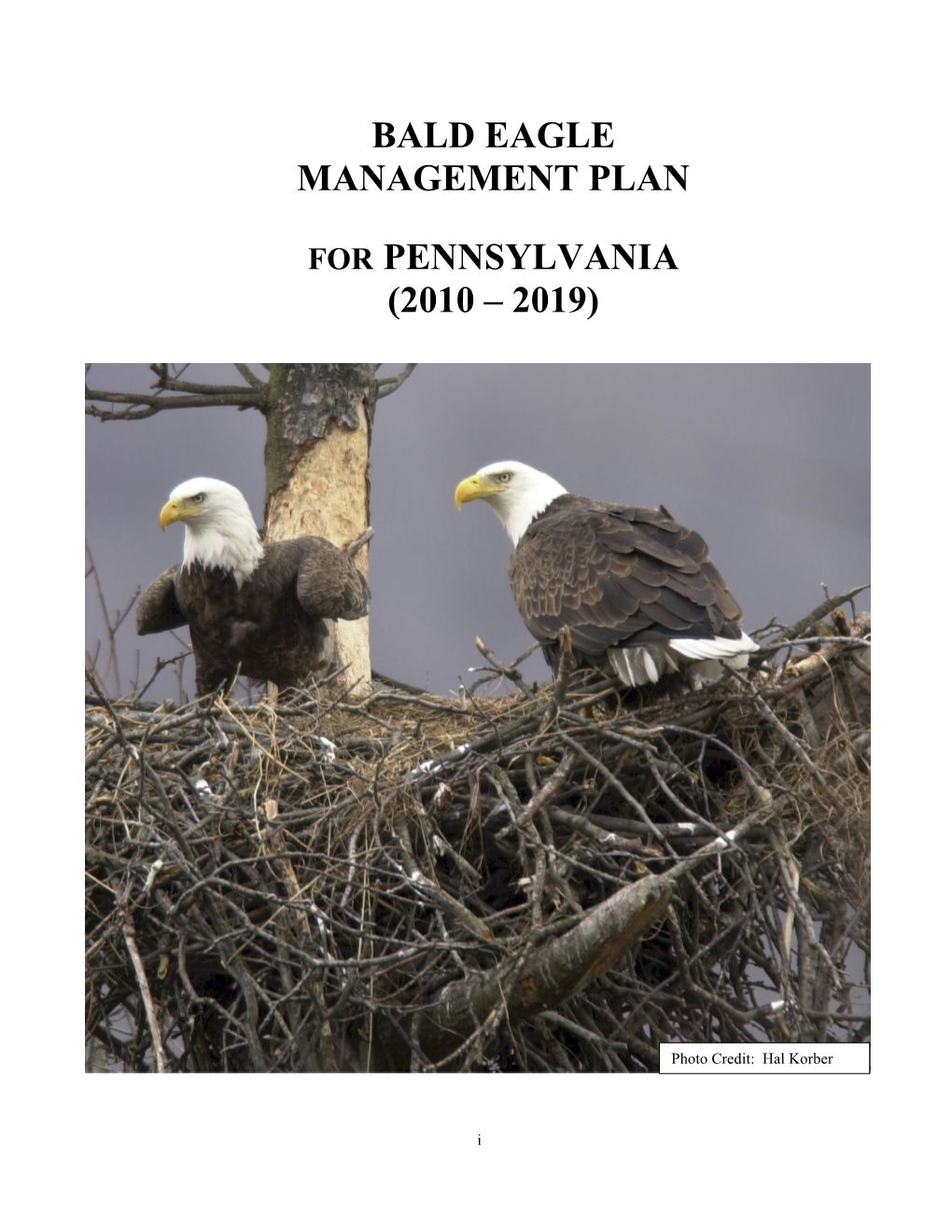 Bald Eagle Management Plan