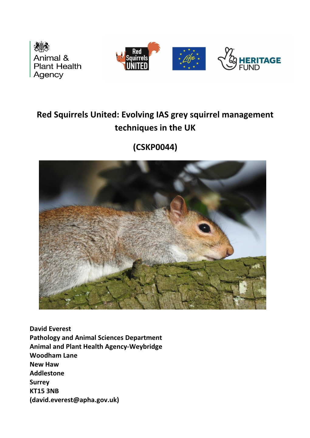 Grey Squirrel Disease Screening Analysis