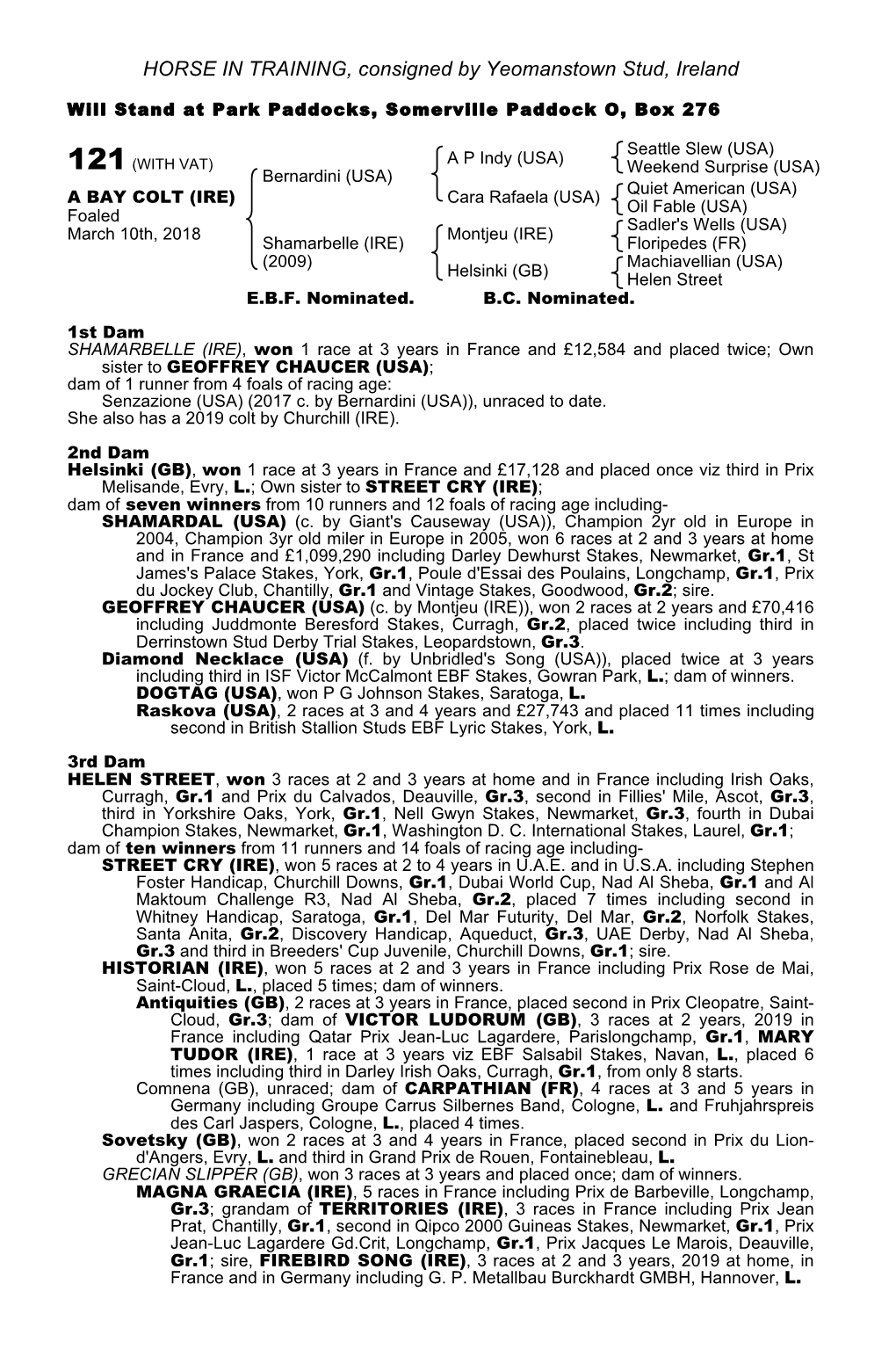 HORSE in TRAINING, Consigned by Yeomanstown Stud, Ireland
