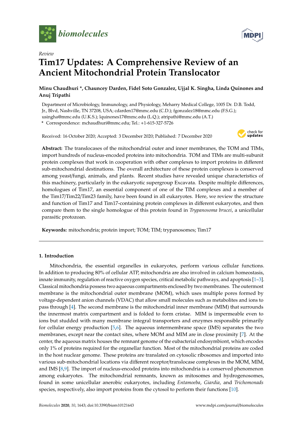 Tim17 Updates: a Comprehensive Review of an Ancient Mitochondrial Protein Translocator