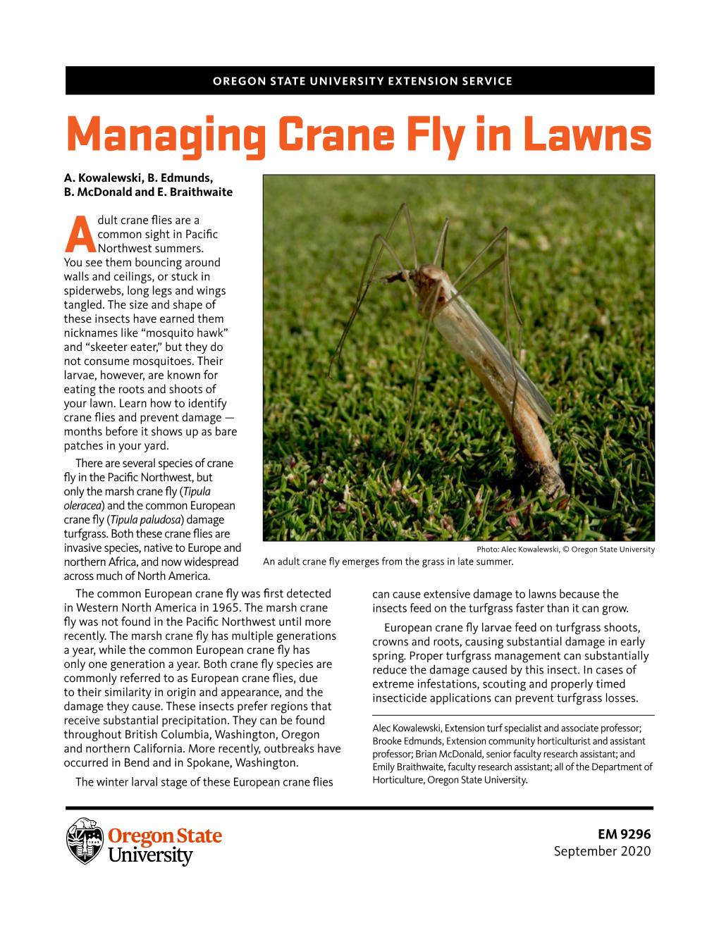 Managing Crane Fly in Lawns A