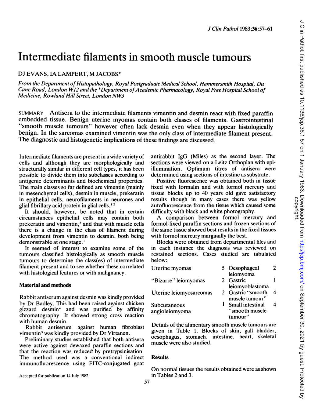 Intermediate Filaments in Smooth Muscle Tumours