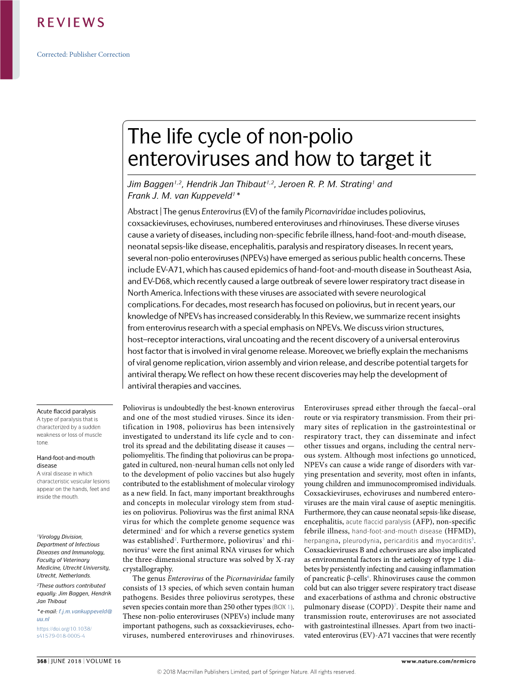 The Life Cycle of Non-Polio Enteroviruses and How to Target It