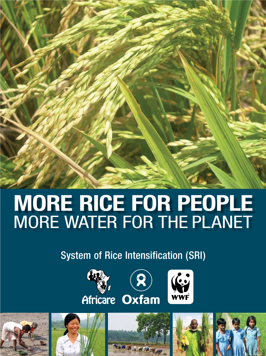 Rice for People More Water for the Planet