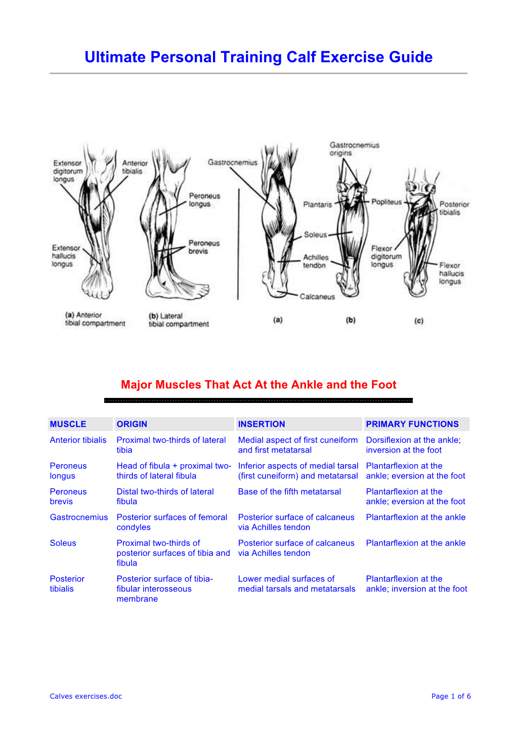 Ultimate Personal Training Calf Exercise Guide