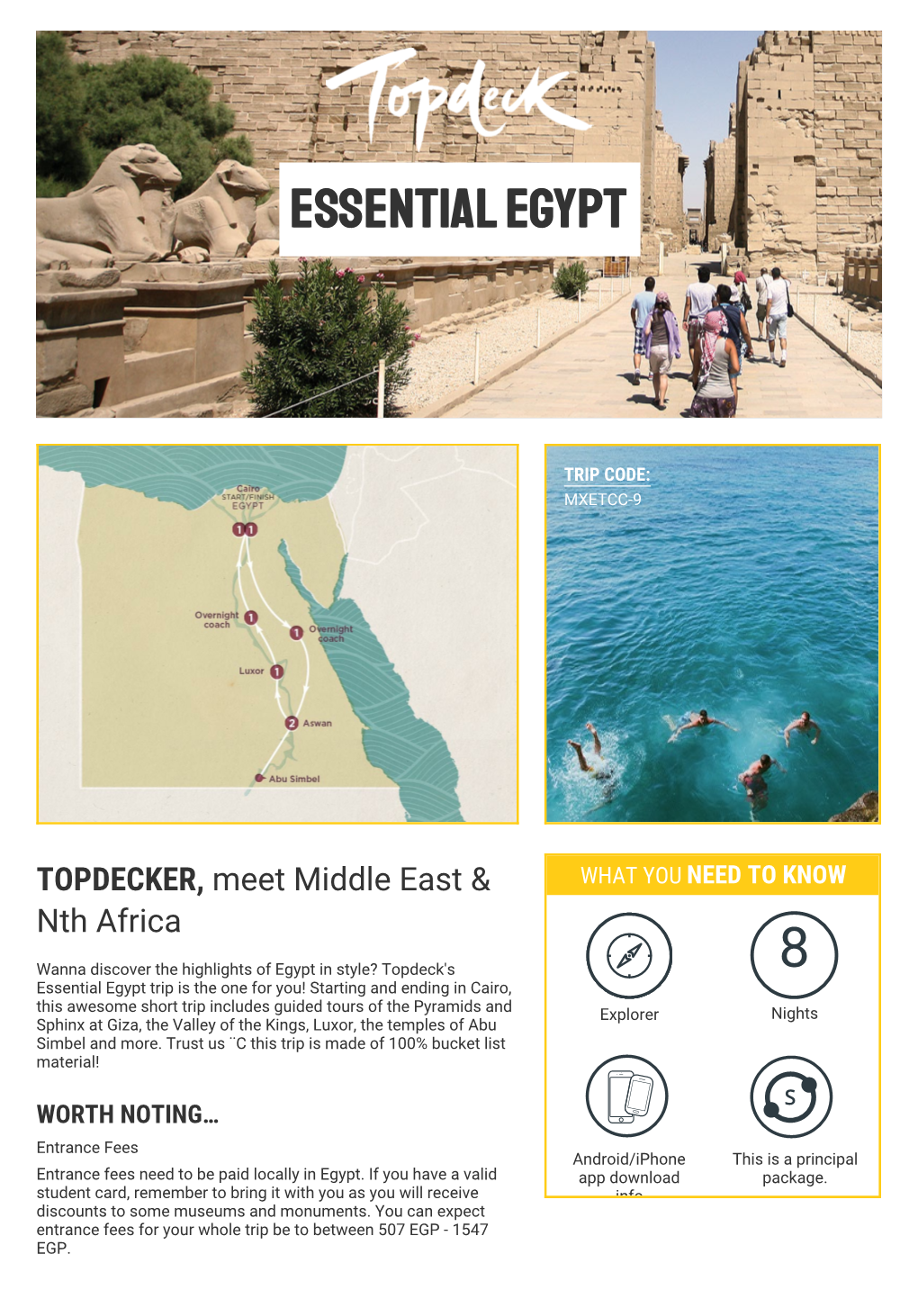 Essential Egypt 8