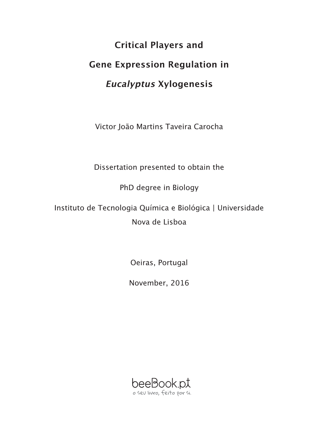 Critical Players and Gene Expression Regulation in Eucalyptus Xylogenesis