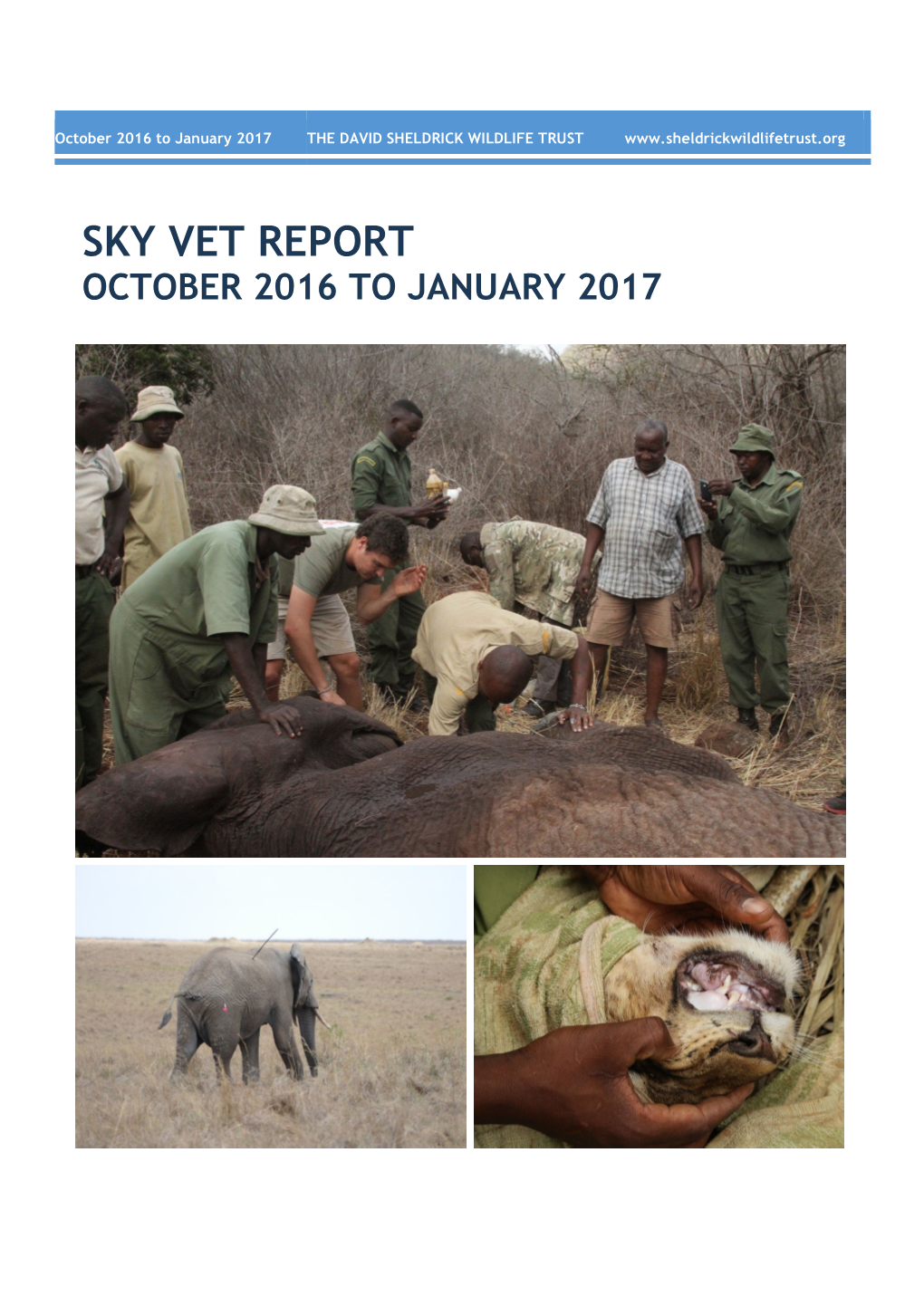 Sky Vet Report October 2016 to January 2017