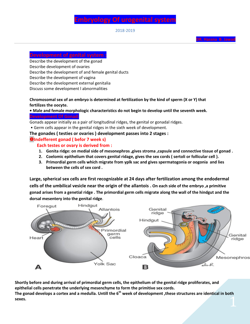 Embryology of Urogenital System