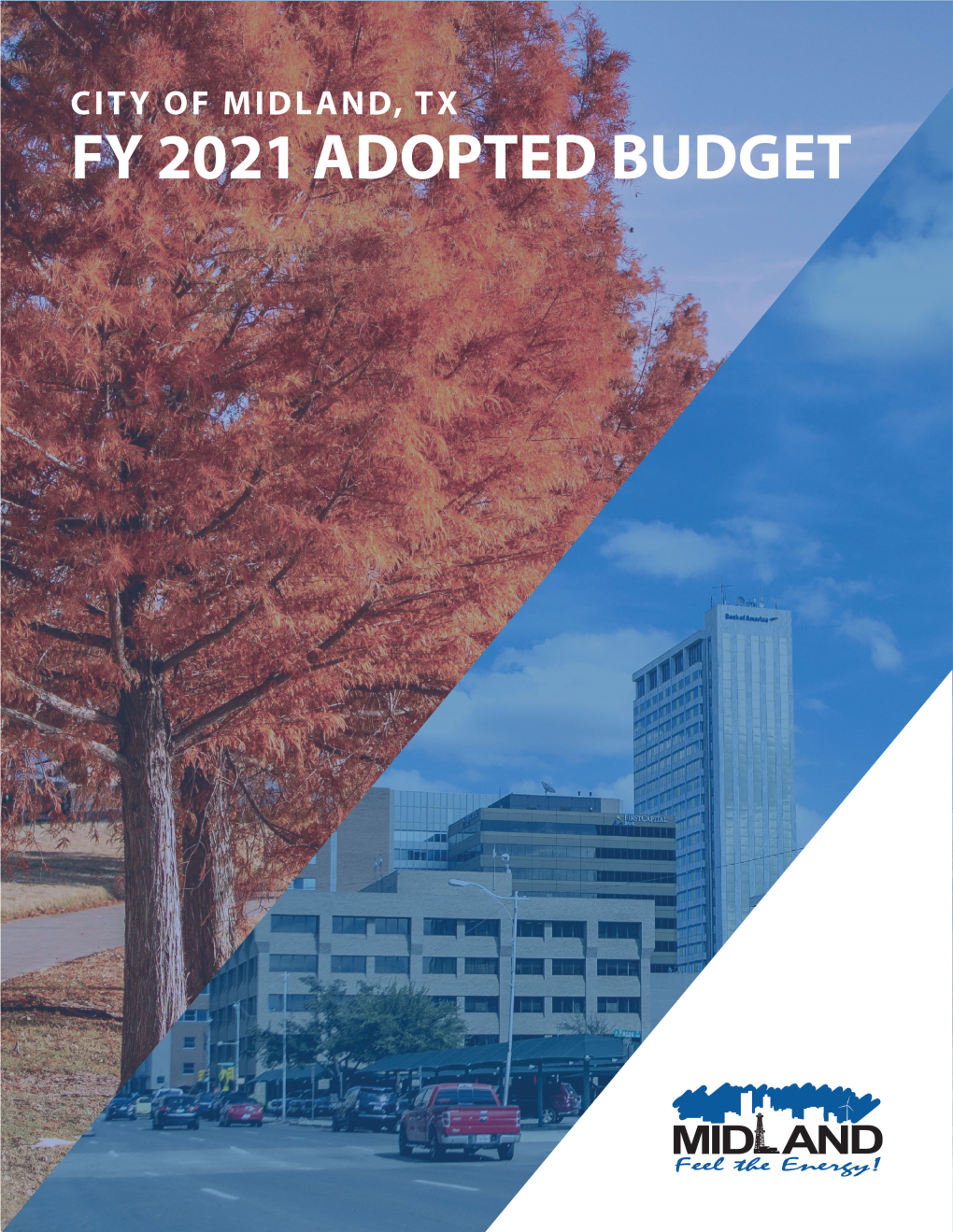Annual Operating Budget Fiscal Year 2021