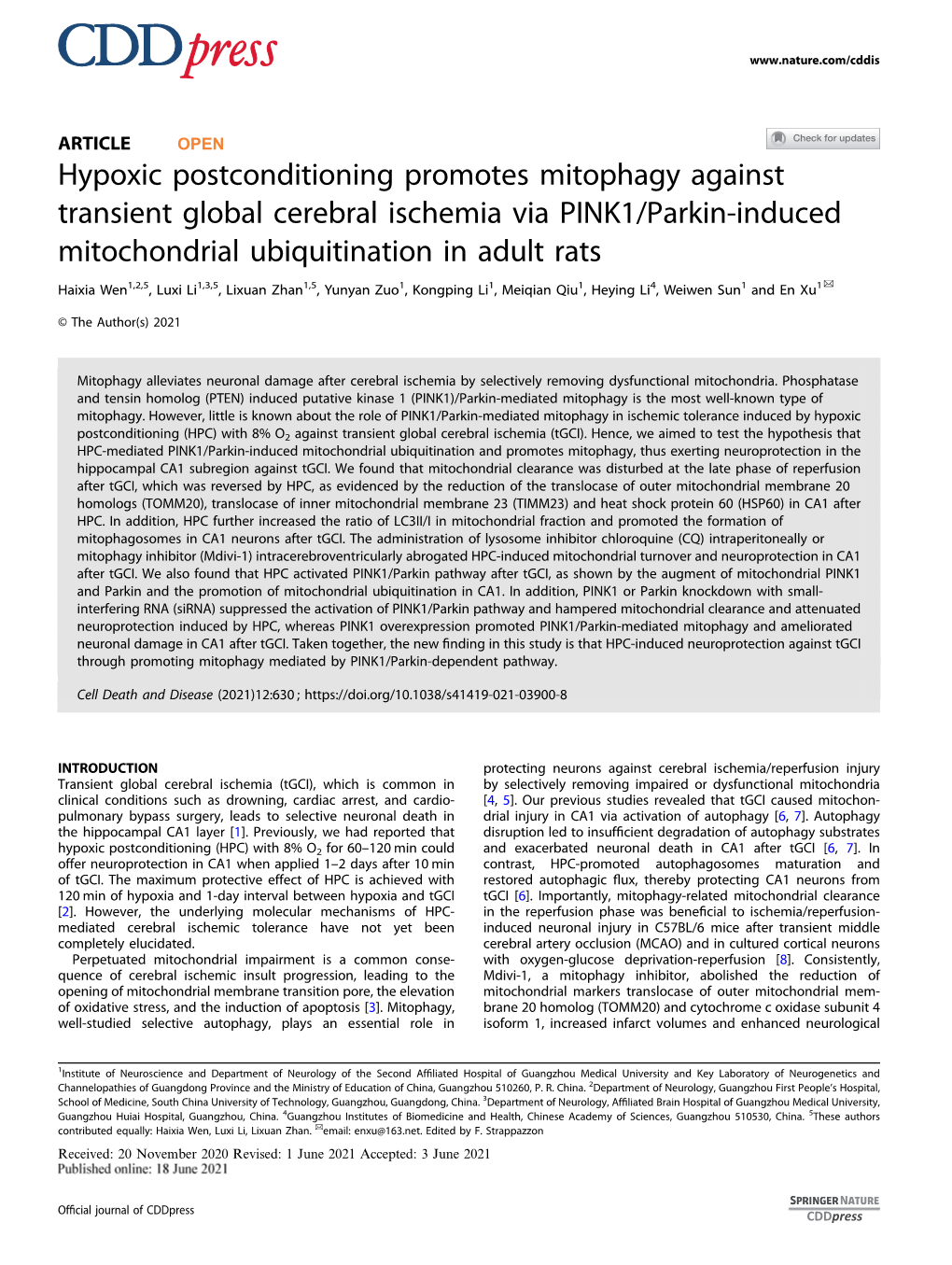 Hypoxic Postconditioning Promotes Mitophagy Against Transient Global