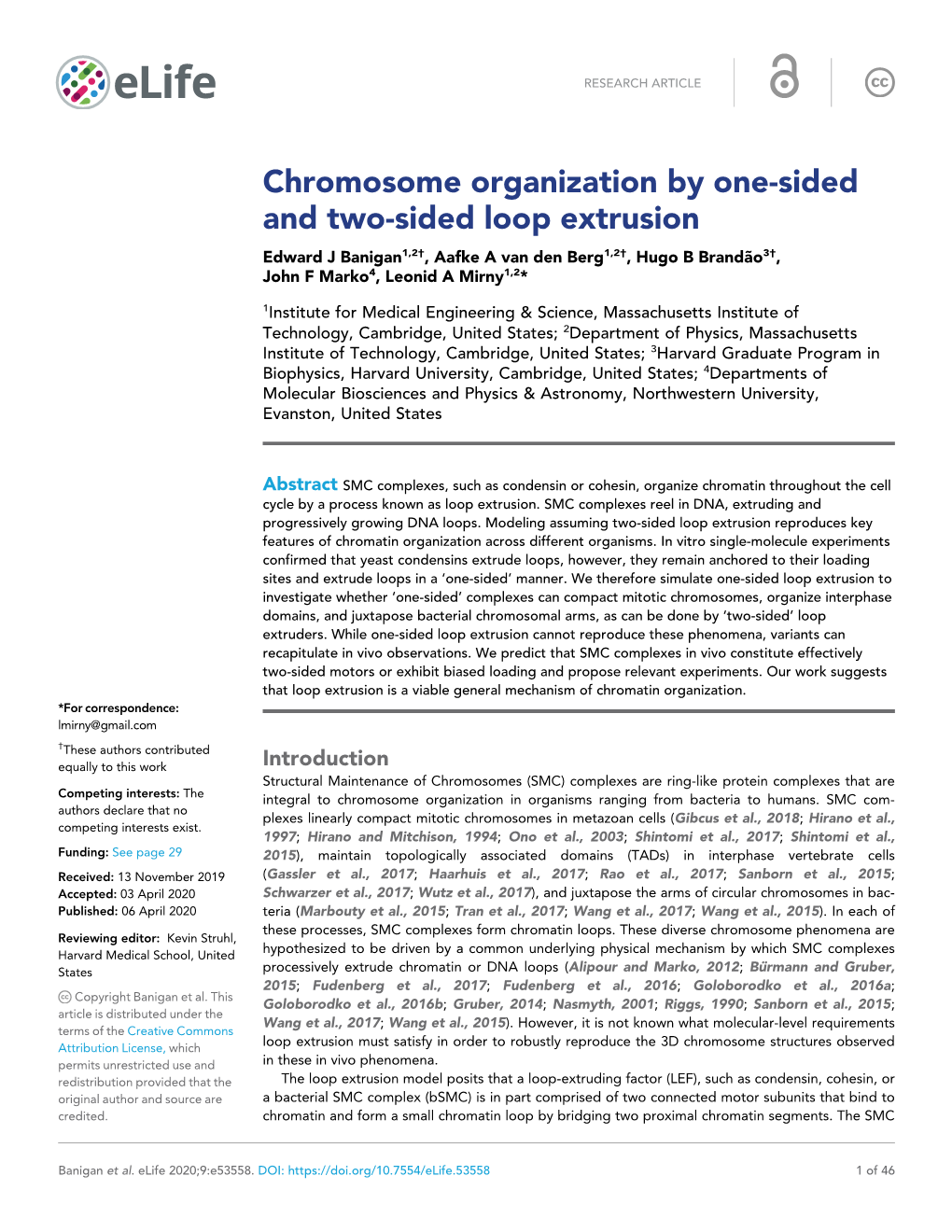 Chromosome Organization by One-Sided and Two-Sided Loop