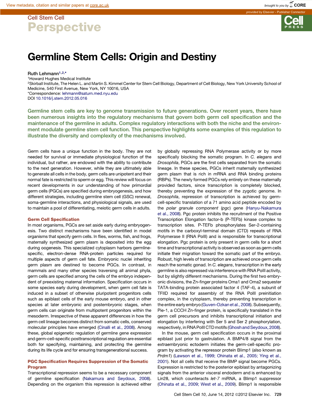 Germline Stem Cells: Origin and Destiny